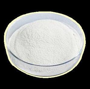 食品添加剂的安全性成为重点